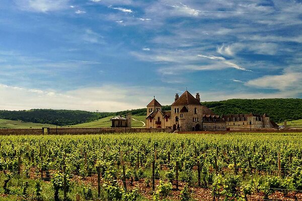 Le Clos de Vougeot