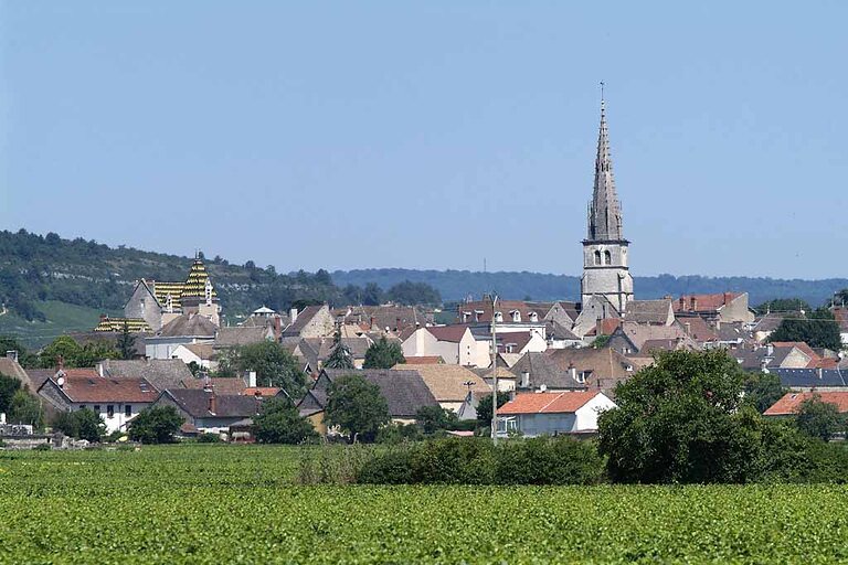 Vue du village de Meursault et de son clocher au milieu des vignes