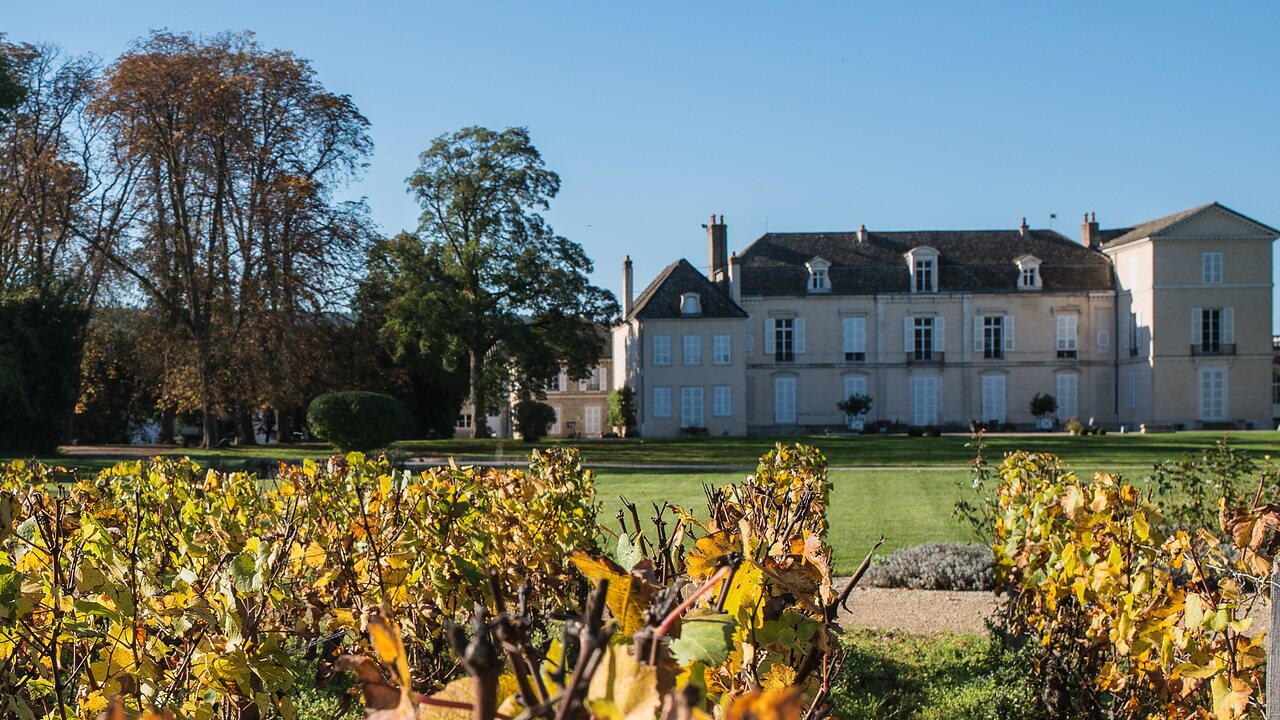 The vineyards of the Côte de Beaune in autumn