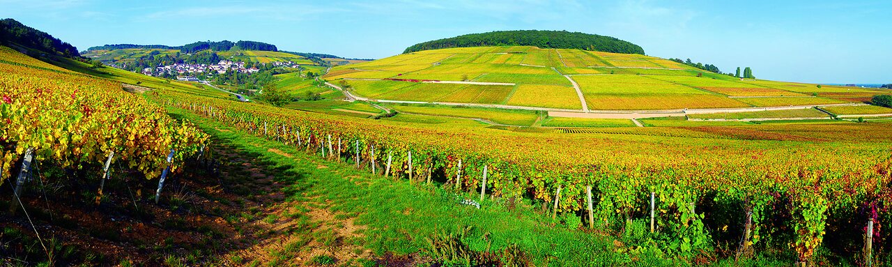 Panorama des vignes de la Côte de Beaune